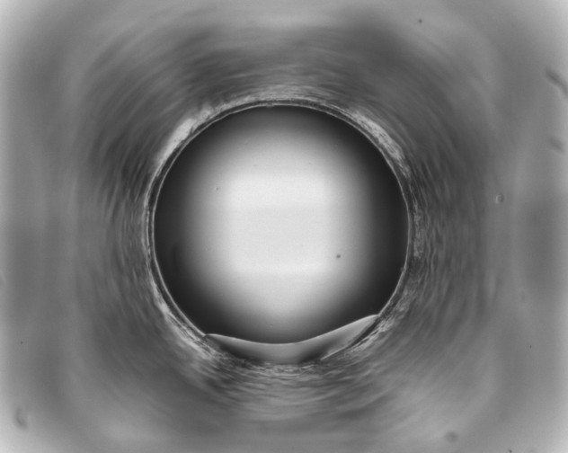 X0000093371342200710251145