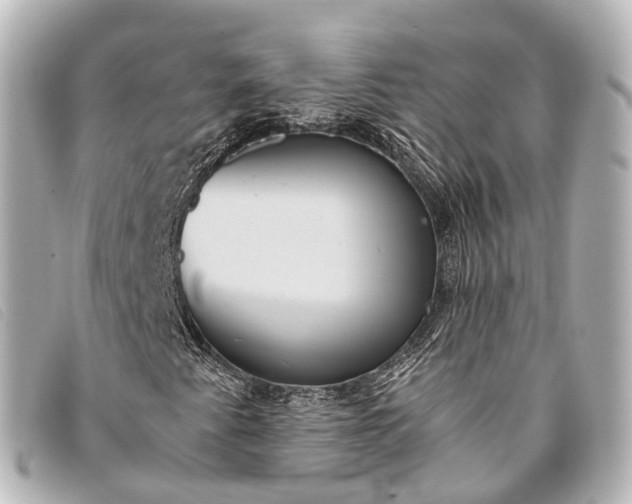 X0000093371345200710251144