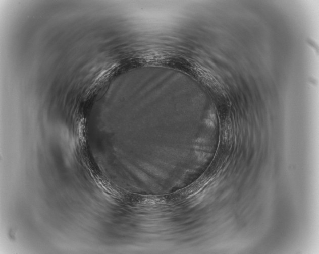 X0000093371346200710251144