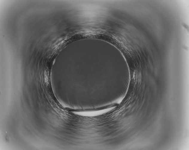 X0000093371348200710251144