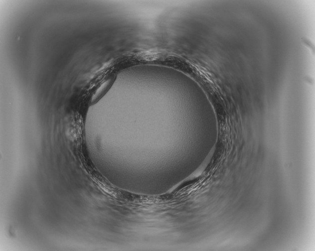 X0000093371349200710251144