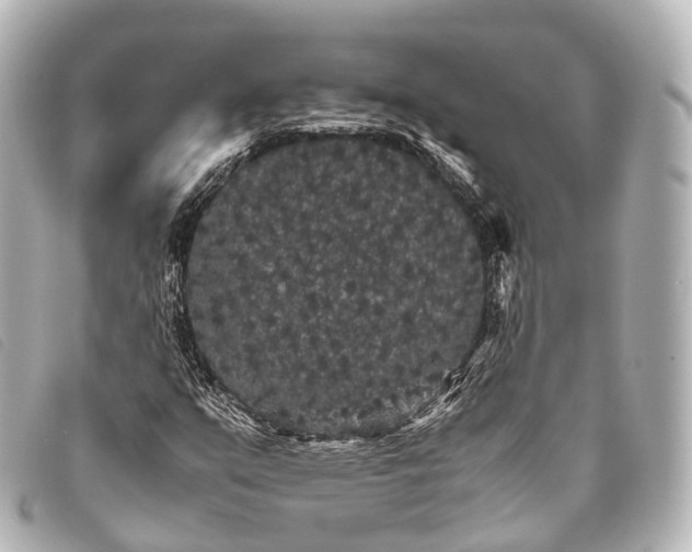 X0000093371351200710251144