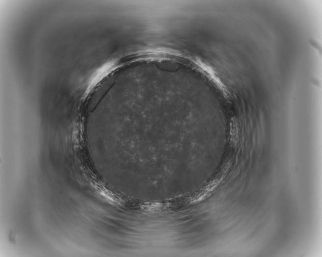 X0000093371352200710251144