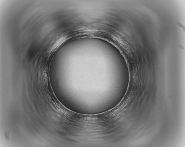 X0000093371354200710251144