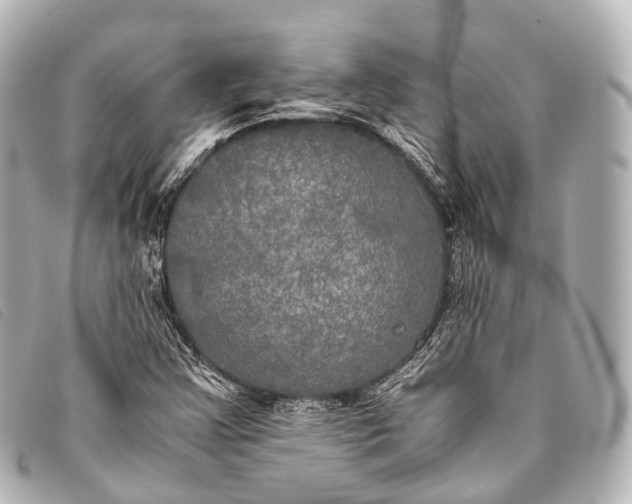 X0000093371355200710251144