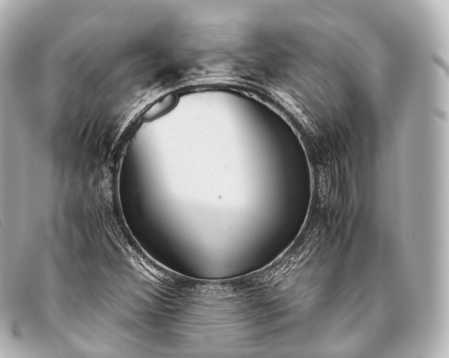 X0000093371356200710251144