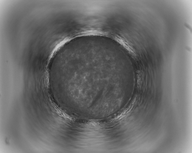 X0000093371358200710251144