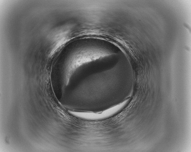 X0000093371359200710251144