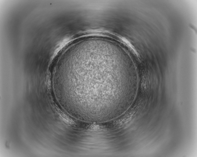 X0000093371360200710251144