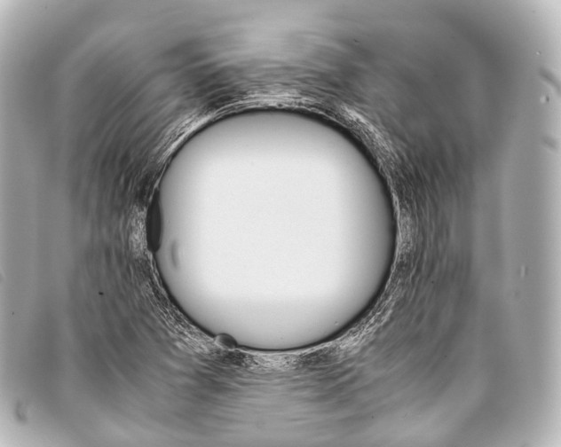 X0000093371361200710251144