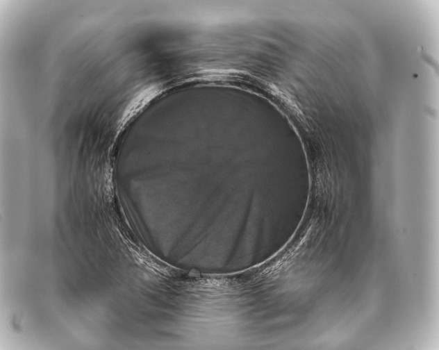 X0000093371362200710251144