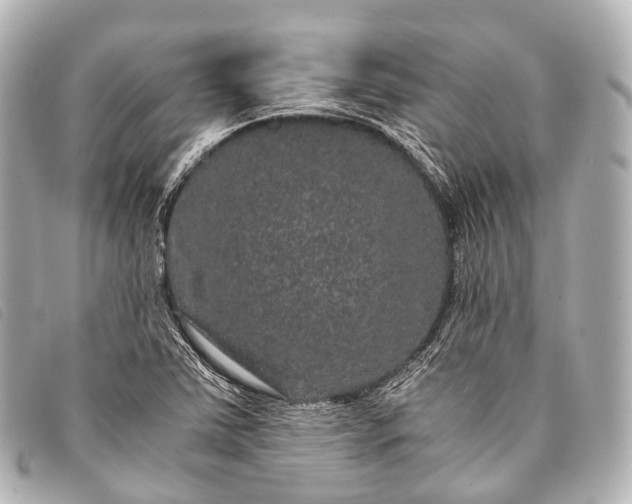 X0000093371363200710251144