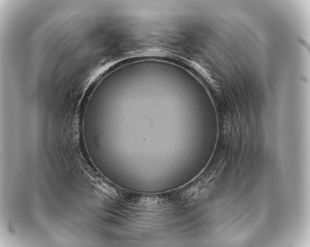 X0000093371364200710251144