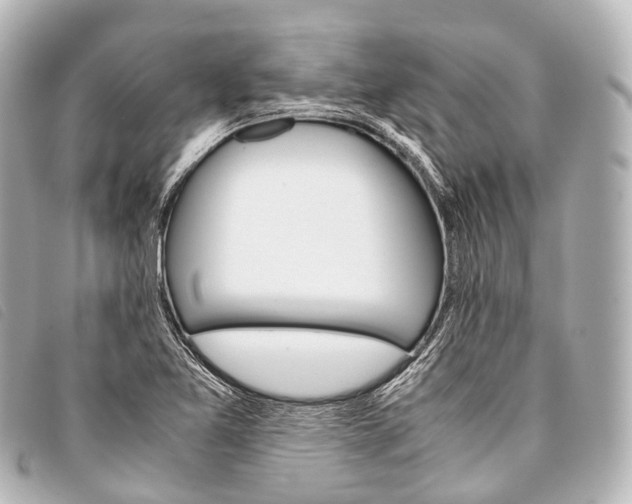 X0000093371365200710251144