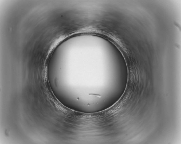 X0000093371366200710251144