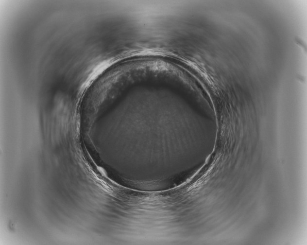 X0000093371367200710251144