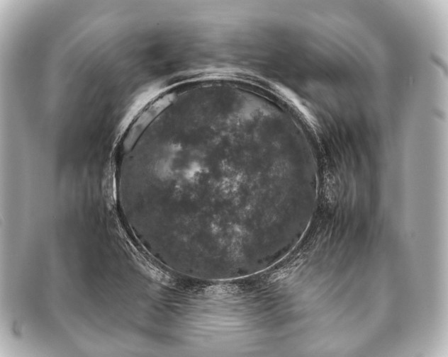 X0000093371368200710251144