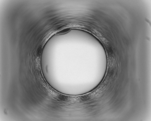 X0000093371369200710251144