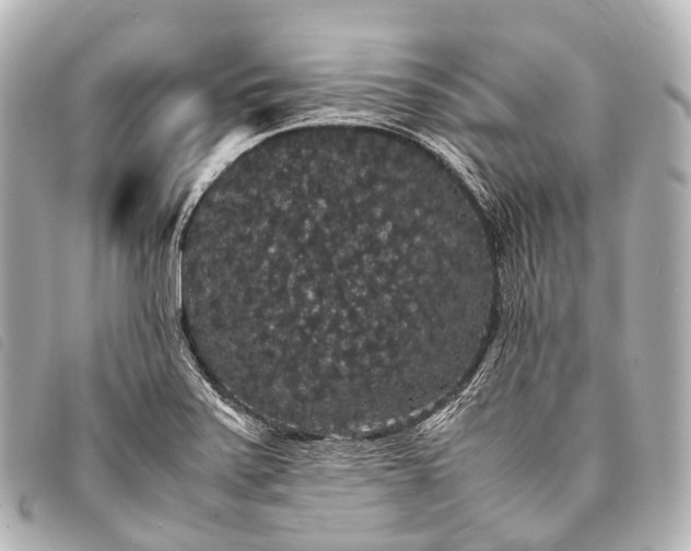 X0000093371371200710251144