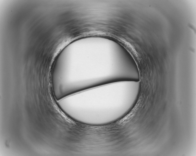 X0000093371373200710251144