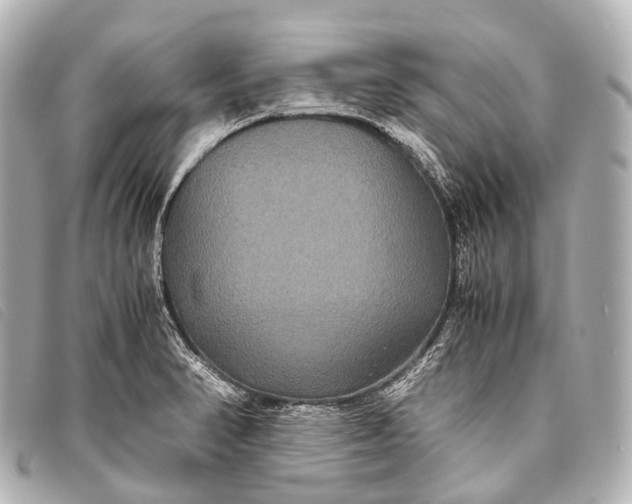 X0000093371374200710251144