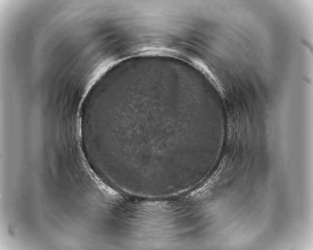 X0000093371376200710251144