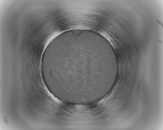 X0000093371379200710251144