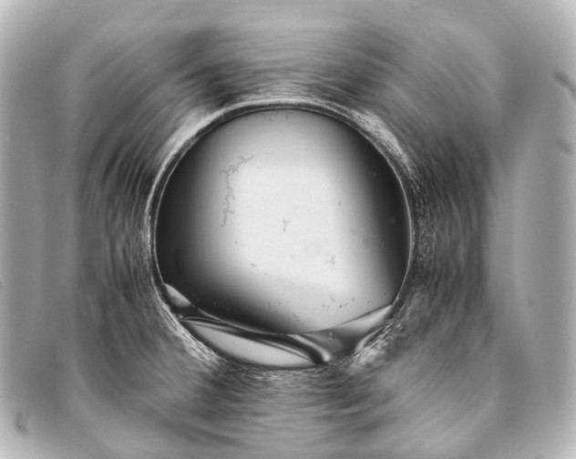 X0000093371380200710251144