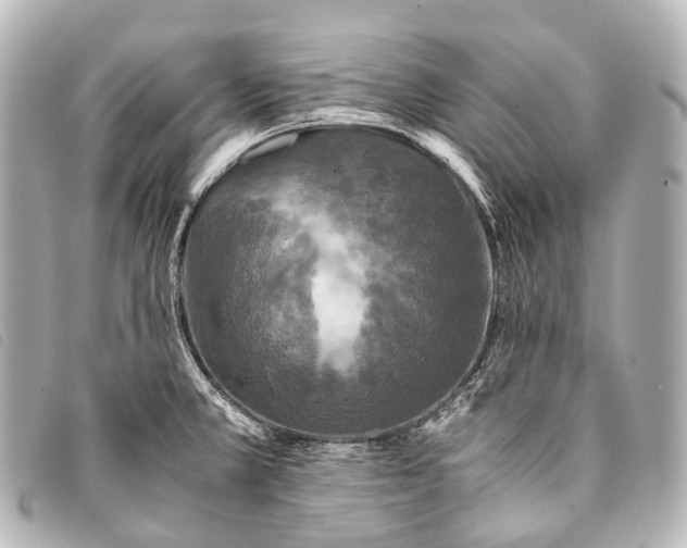 X0000093371381200710251144