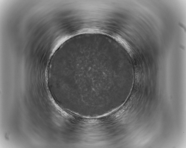 X0000093371382200710251144