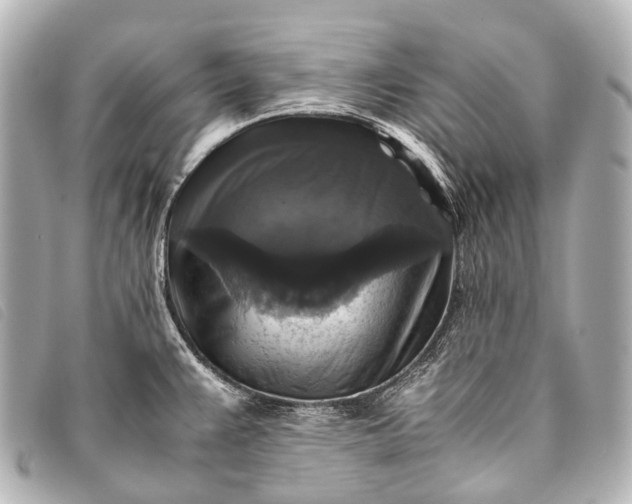 X0000093371383200710251144