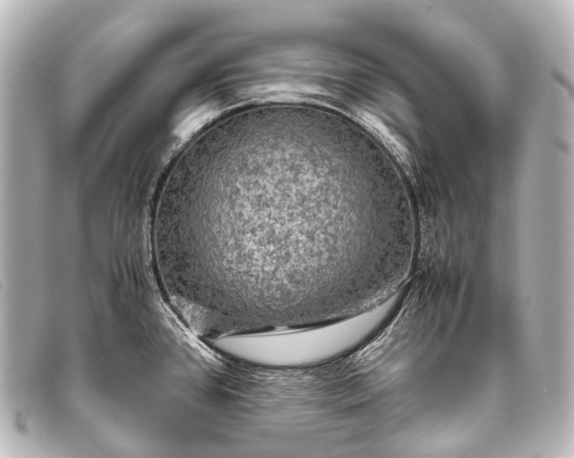 X0000093371384200710251144