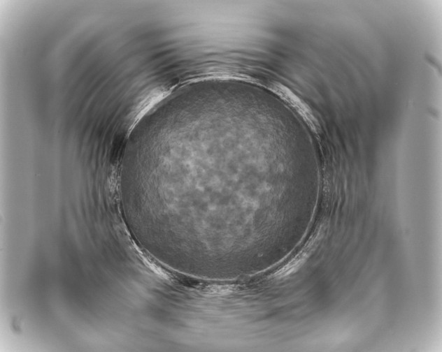 X0000093371385200710251144