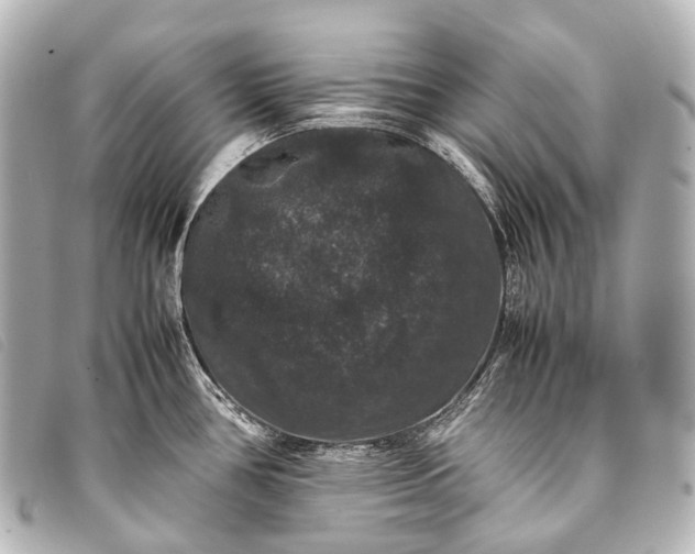 X0000093371386200710251144