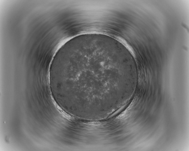 X0000093371388200710251144