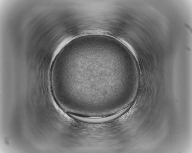 X0000093371389200710251144