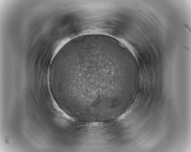 X0000093371390200710251144