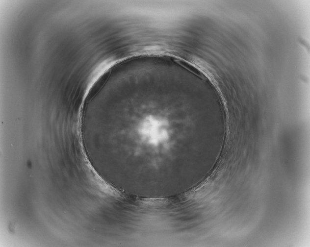 X0000093371392200710251144