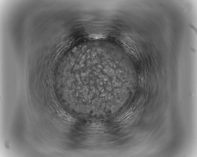 X0000093371393200710251143