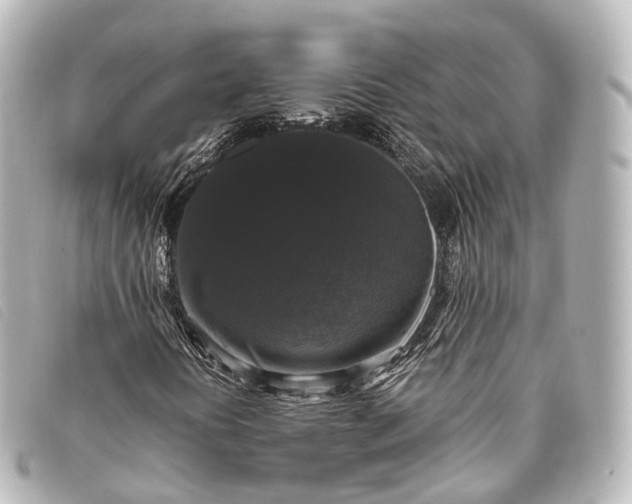 X0000093371394200710251143