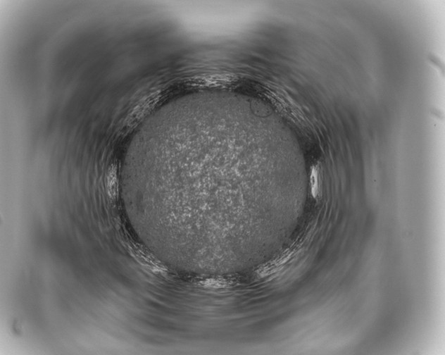 X0000093371395200710251143