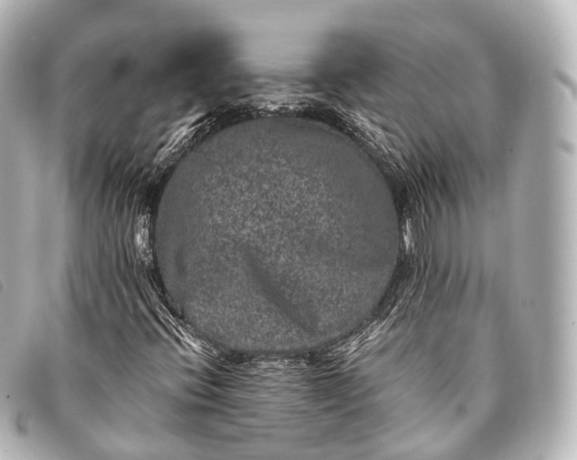 X0000093371396200710251143