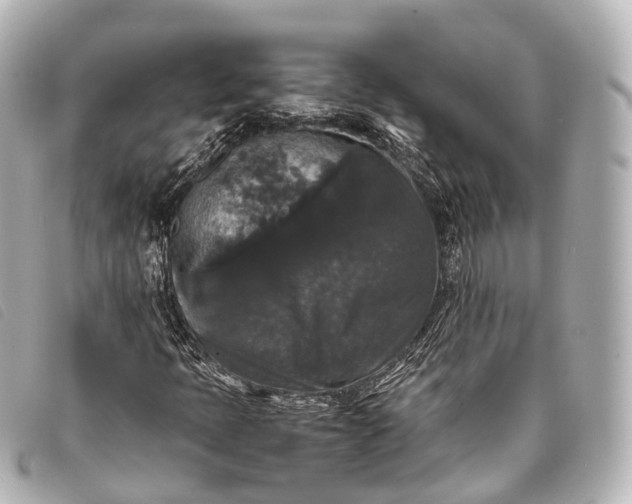 X0000093371397200710251143