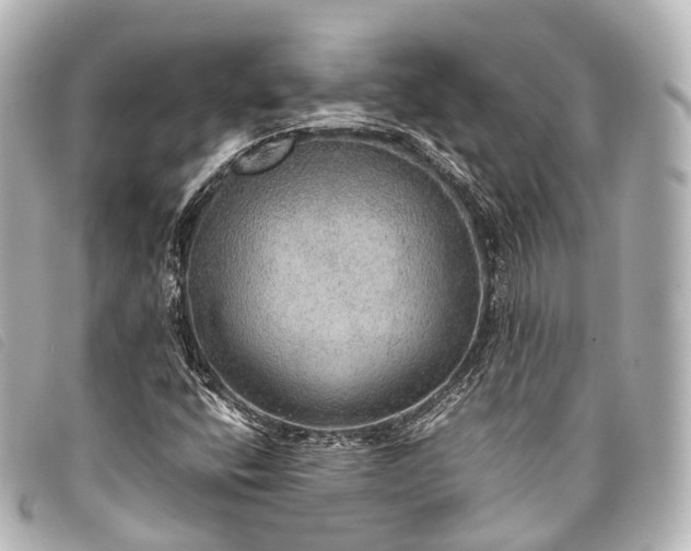 X0000093371400200710251143