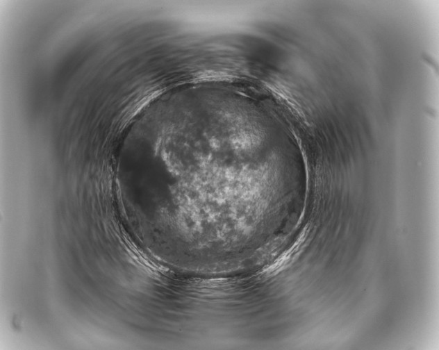 X0000093371401200710251143