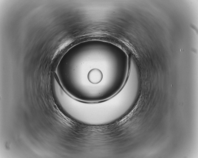 X0000093371402200710251143