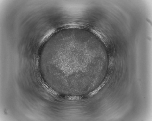 X0000093371403200710251143