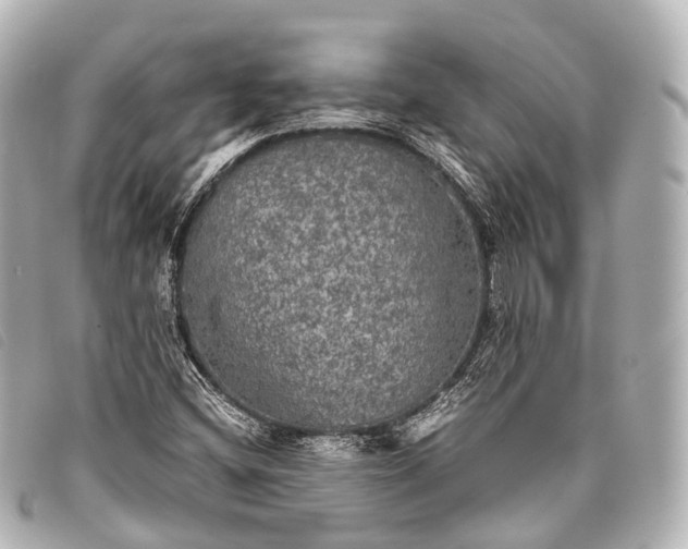 X0000093371404200710251143