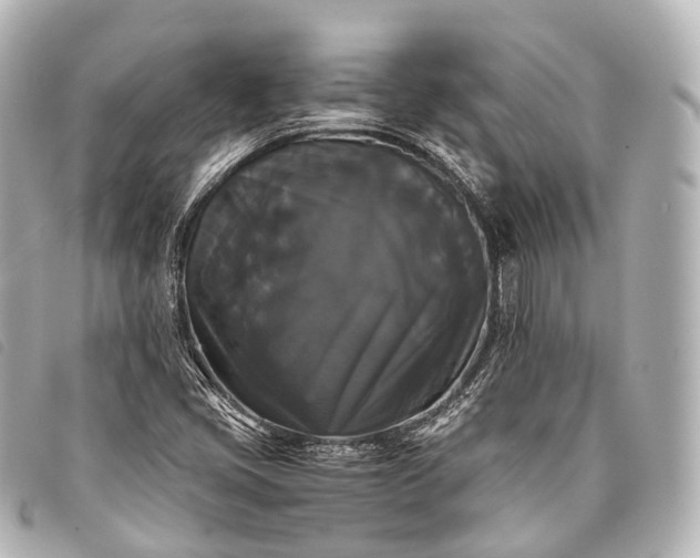 X0000093371405200710251143