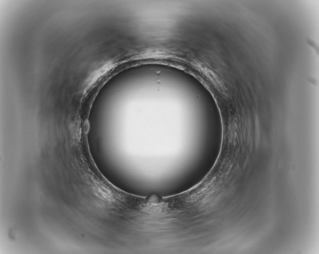 X0000093371406200710251143